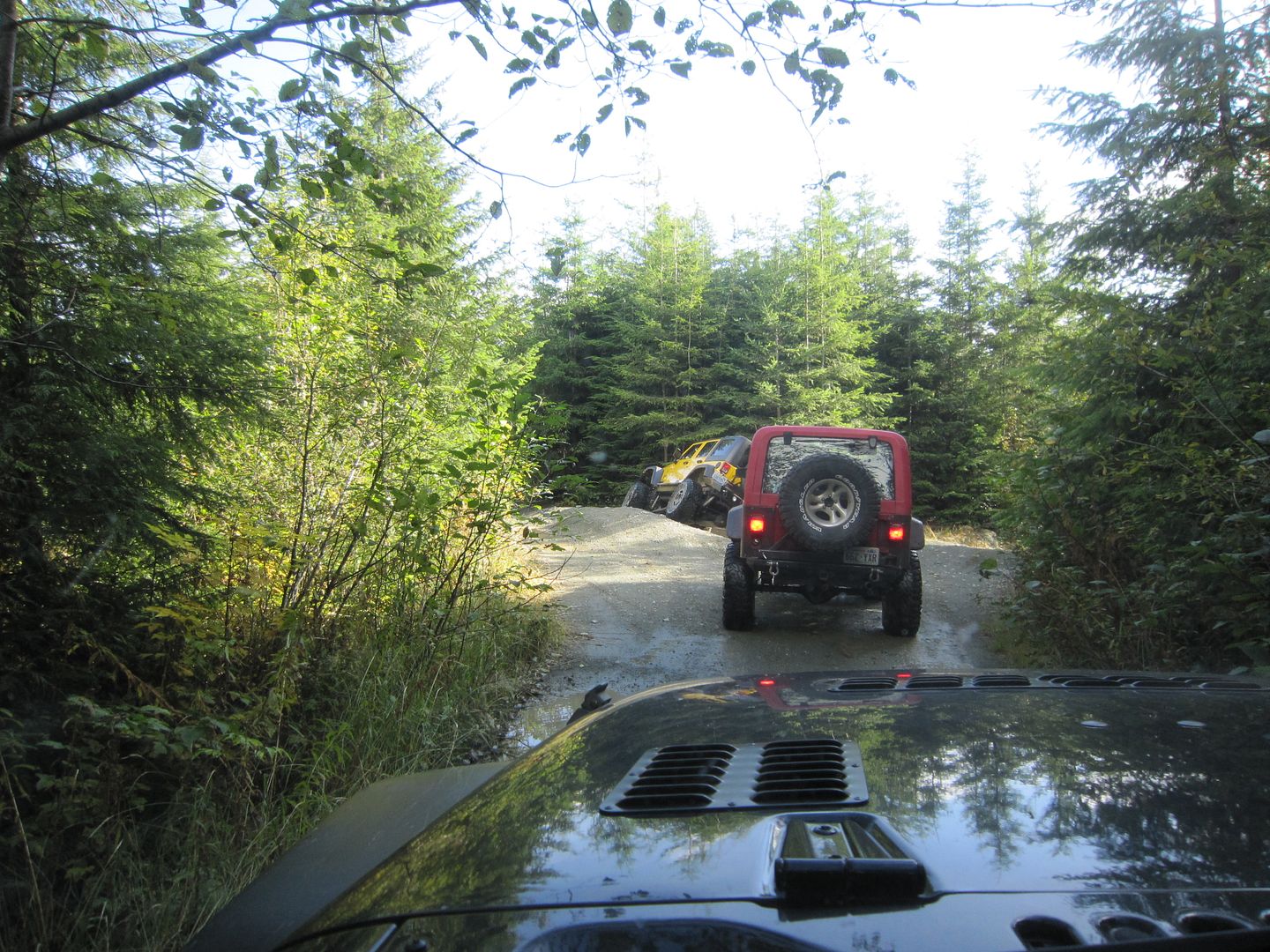 Walker Valley OHV Area Saturday, Oct 29th Jeep Enthusiast Forums